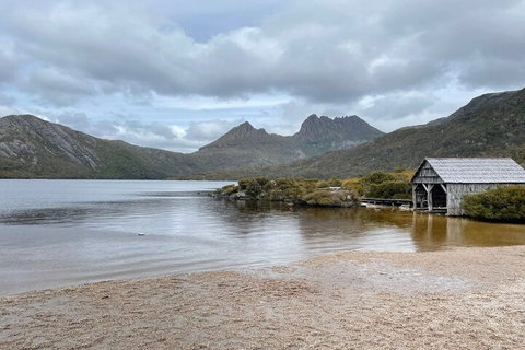 Cradle Mountain National Park Day Tour From Launceston - Accommodation Kalgoorlie 4
