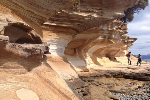 Hobart Minibus Full-Day Private Tour - Accommodation Kalgoorlie 0