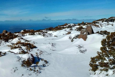 Mt Wellington Ultimate Experience Tour From Hobart - Accommodation Kalgoorlie 4