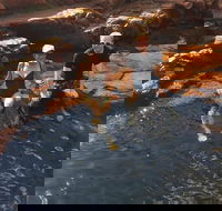 One Day Litchfield Park Adventures - Accommodation Kalgoorlie