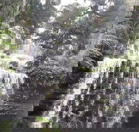 6-Day Hearty Tasmania Tour Tasmania in a Circle - Accommodation Kalgoorlie