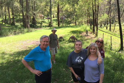 Small Group Blue Mountains Day Tour From Sydney - Accommodation Kalgoorlie 1