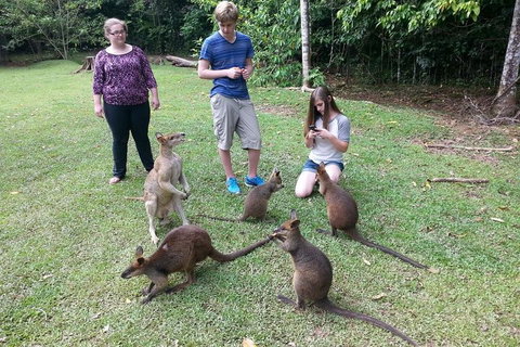 Small Group Blue Mountains Day Tour From Sydney - Accommodation Kalgoorlie 2