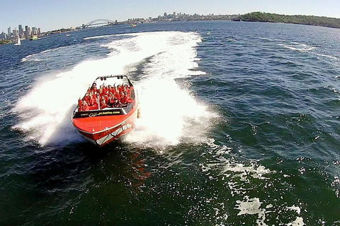 Sydney Harbour Jet Boat Thrill Ride: 30 Minutes - Accommodation Kalgoorlie 0