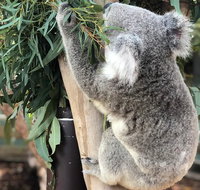 Private Blue Mountains and Wildlife Park Tour from Sydney with Barbecue Lunch - Accommodation Kalgoorlie