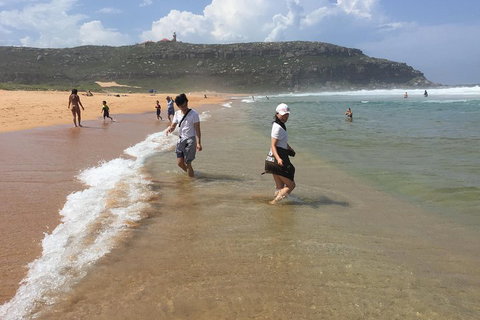 Small-Group Sydney's Northern Beaches And Ku-ring-gai National Park Bus Tour - Accommodation Kalgoorlie 5