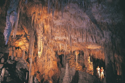 4 Day Tour: Albany, Margaret River, Valley Of The Giants TreeTop Walk From Perth - Accommodation Kalgoorlie 1