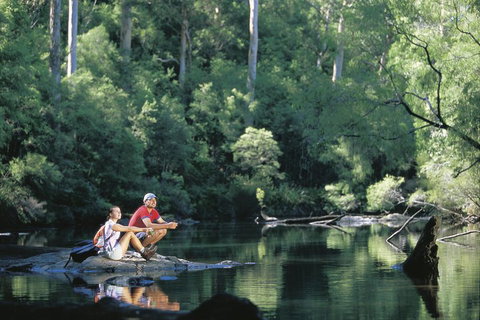 4 Day Tour: Albany, Margaret River, Valley Of The Giants TreeTop Walk From Perth - Accommodation Kalgoorlie 3