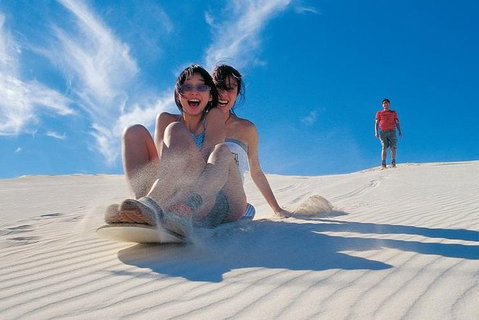 Pinnacles Desert, Koalas And Sandboarding 4WD Day Tour From Perth - Accommodation Kalgoorlie 3