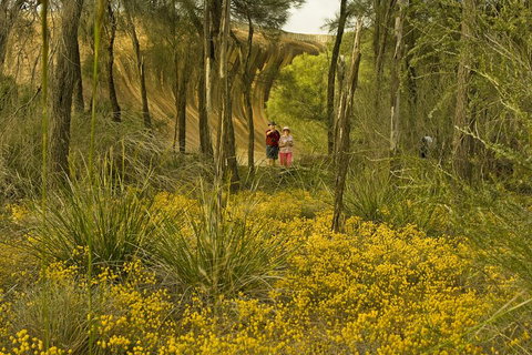 2-Day Wave Rock, York, Wildflowers & Aboriginal Experience - Accommodation Kalgoorlie 2
