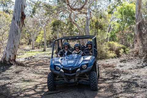 Small-Group Buggy Tour At Little Sahara With Guide - Accommodation Kalgoorlie 0