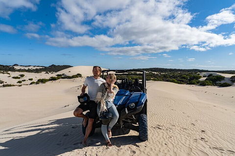 Small-Group Buggy Tour At Little Sahara With Guide - Accommodation Kalgoorlie 2
