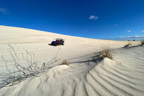 Small-Group Buggy Tour At Little Sahara With Guide - Accommodation Kalgoorlie 3