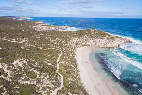 Small-Group Buggy Tour At Little Sahara With Guide - Accommodation Kalgoorlie 4