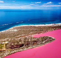 Pink Lake Small-Group Buggy Tour - Accommodation Kalgoorlie