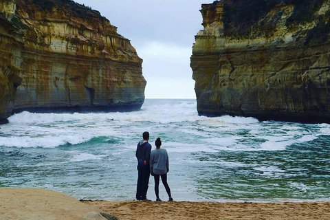 Great Ocean Road Small-Group Ecotour From Melbourne - Accommodation Kalgoorlie 1