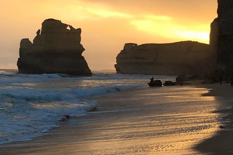 Great Ocean Road Small-Group Ecotour From Melbourne - Accommodation Kalgoorlie 5