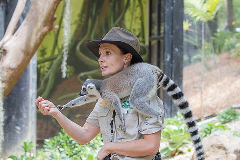 Currumbin Wildlife Sanctuary General Entry Ticket - Accommodation Kalgoorlie 1