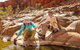 Private 9 Hour Walk And Waterhole Tour In West MacDonnell Ranges - thumb 1
