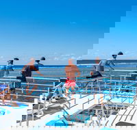 Calypso Outer Great Barrier Reef Cruise from Port Douglas - Accommodation Kalgoorlie