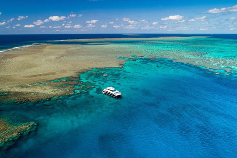 Calypso Outer Great Barrier Reef Cruise From Port Douglas - Accommodation Kalgoorlie 1