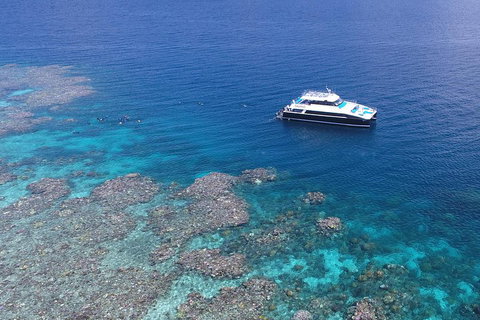 Calypso Outer Great Barrier Reef Cruise From Port Douglas - Accommodation Kalgoorlie 4