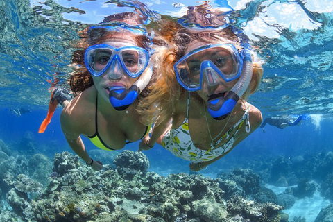 Great Barrier Reef Snorkeling And Diving Cruise From Cairns - Accommodation Kalgoorlie 3