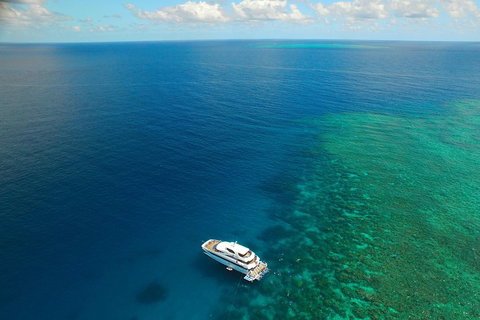 Great Barrier Reef Snorkeling And Diving Cruise From Cairns - Accommodation Kalgoorlie 4