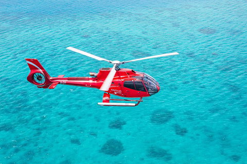Cruise To Moore Reef Pontoon And Return Helicopter Flight From Cairns - Accommodation Kalgoorlie 1