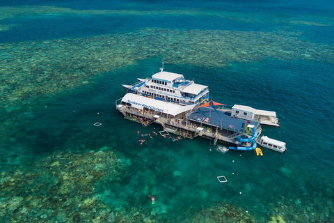 Cruise To Moore Reef Pontoon And Return Helicopter Flight From Cairns - Accommodation Kalgoorlie 2