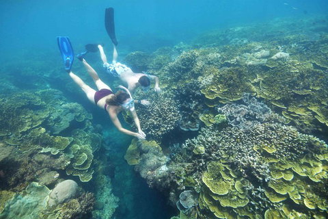 Cruise To Moore Reef Pontoon And Return Helicopter Flight From Cairns - Accommodation Kalgoorlie 3