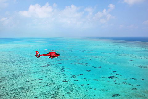 Helicopter And Cruise Packages From Port Douglas - Accommodation Kalgoorlie 1