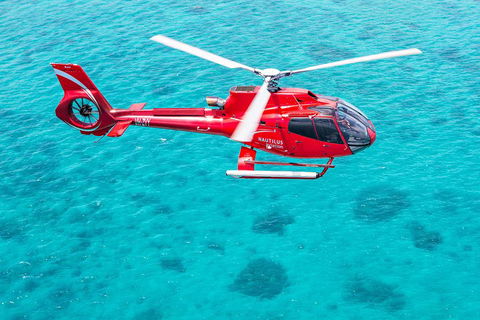 Helicopter And Cruise Packages From Port Douglas - Accommodation Kalgoorlie 5