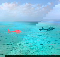 Port Douglas Scenic Flights - Accommodation Kalgoorlie