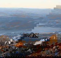 Mt. Wellington Bonorong and Richmond Day Tour from Hobart - Accommodation Kalgoorlie