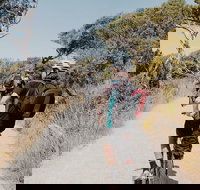 Self-Guided Point Nepean National Park Bike Hire - Accommodation Kalgoorlie