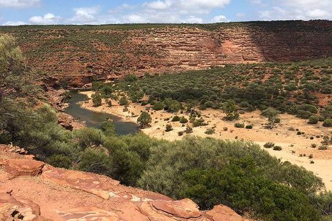 Kalbarri Gorges & West Coast - Ground & Air Tour - Accommodation Kalgoorlie 3