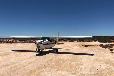 Kalbarri Gorges & West Coast - Ground & Air Tour - Accommodation Kalgoorlie 4