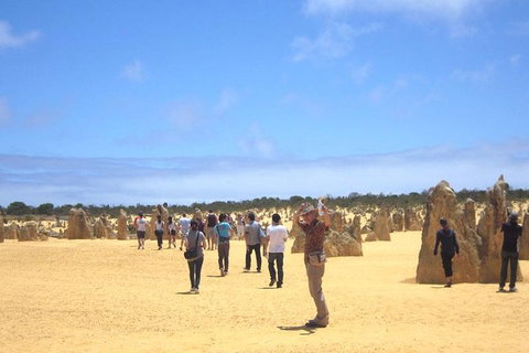 Pinnacles & Rottnest Island Scenic Air & Ground Tour - Accommodation Kalgoorlie 3