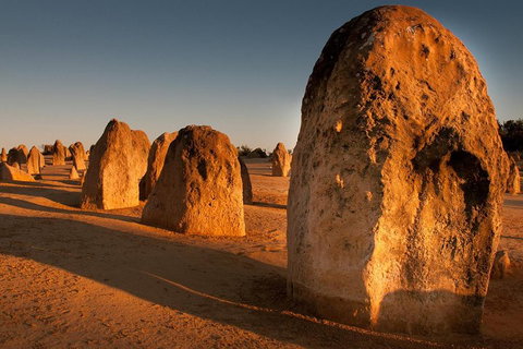 Pinnacles & Rottnest Island Scenic Air & Ground Tour - Accommodation Kalgoorlie 4