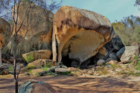 Wave Rock & Rottnest Island - Air & Ground Tour - Accommodation Kalgoorlie 4