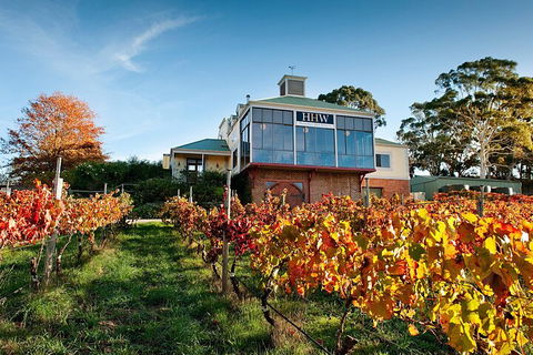 Adelaide Hills Food, Wine, Cheese, & Chocolate - Private Day Tour - Accommodation Kalgoorlie 3