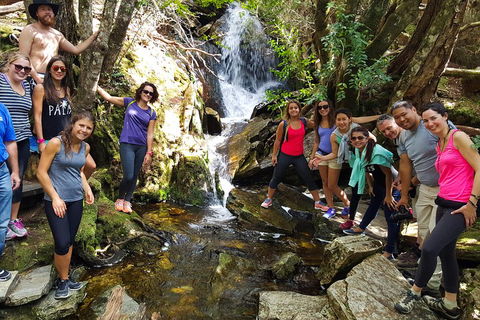 7-Day Super Value Tour Of Tasmania: Explore Tasmania's West And East Coasts - Accommodation Kalgoorlie 2