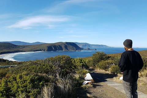 4-Day Fabulous Tasmania Tour: Wineglass Bay, Port Arthur, Devils & Bruny Island - Accommodation Kalgoorlie 0