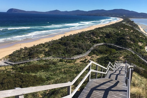 4-Day Fabulous Tasmania Tour: Wineglass Bay, Port Arthur, Devils & Bruny Island - Accommodation Kalgoorlie 5