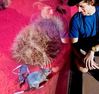 Alice Springs Desert Park General Entry Ticket - Accommodation Kalgoorlie