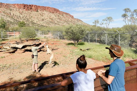 Alice Springs Desert Park General Entry Ticket - Accommodation Kalgoorlie 4