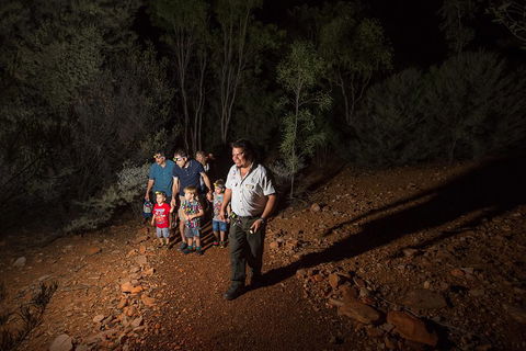 Alice Springs Desert Park Nocturnal Tour - Accommodation Kalgoorlie 0
