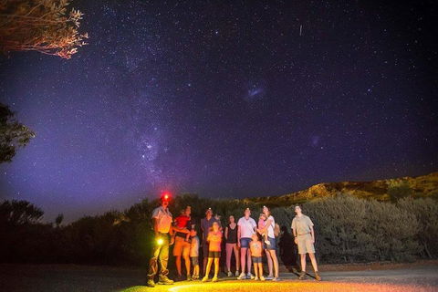 Alice Springs Desert Park Nocturnal Tour - Accommodation Kalgoorlie 2