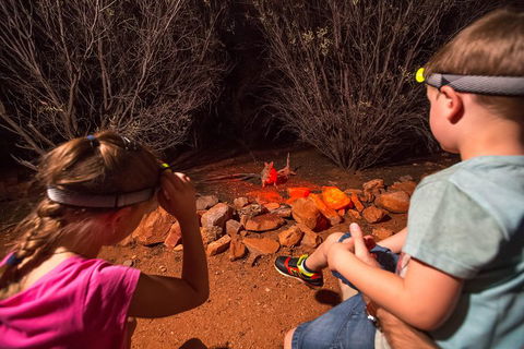 Alice Springs Desert Park Nocturnal Tour - Accommodation Kalgoorlie 4